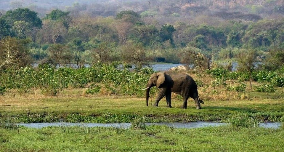 1 mkulumadzi lodge majete wildlife reserve malawi timbuktu travel (1) (1) (1)